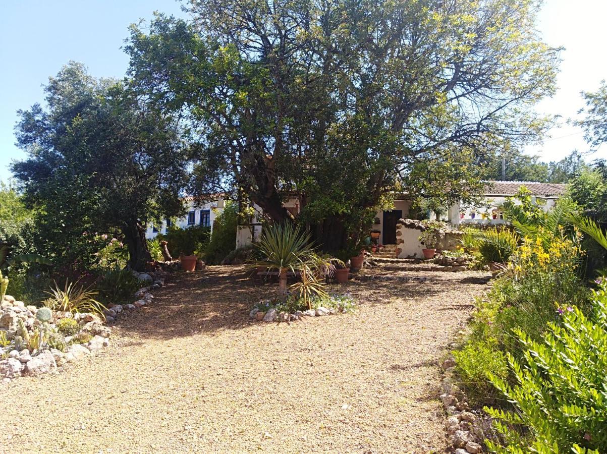 Quinta Dos Valados Bed and Breakfast Querenca Exterior foto
